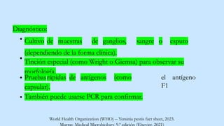 Diagnóstico:
Cultivo de muestras de ganglios, sangre o esputo
(dependiendo de la forma clínica).
Tinción especial (como Wright o Giemsa) para observar su
morfología.
el antígeno
F1
Pruebasrápidas de antígenos (como
capsular).
También puede usarse PCR para confirmar.
World Health Organization (WHO) – Yersinia pestis fact sheet, 2023.
 