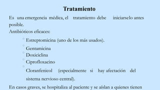 Tratamiento
Es una emergencia médica, el tratamiento debe iniciarselo antes
posible.
Antibióticos eficaces:
Estreptomicina (uno de los más usados).
Gentamicina
Doxiciclina
Ciprofloxacino
Cloranfenicol (especialmente si hay afectación del
sistema nervioso central).
En casos graves, se hospitaliza al paciente y se aíslan a quienes tienen
 