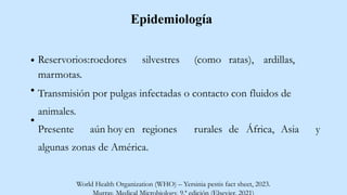 Epidemiología
Reservorios:roedores silvestres (como ratas), ardillas,
marmotas.
Transmisión por pulgas infectadas o contacto con fluidos de
animales.
Presente aún hoy en regiones rurales de África, Asia y
algunas zonas de América.
World Health Organization (WHO) – Yersinia pestis fact sheet, 2023.
 