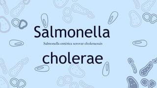 Salmonella
Salmonella entérica serovar choleraesuis
cholerae
 