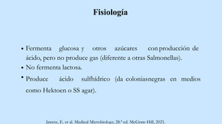 Fisiología
Fermenta glucosa y otros azúcares con producción de
ácido, pero no produce gas (diferente a otras Salmonellas).
No fermenta lactosa.
Produce ácido sulfhídrico (da coloniasnegras en medios
como Hektoen o SS agar).
Jawetz, E. et al. Medical Microbiology, 28.ª ed. McGraw-Hill, 2021.
 