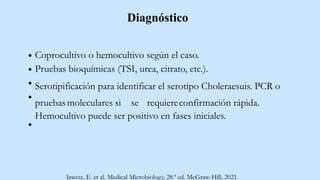 Diagnóstico
Coprocultivo o hemocultivo según el caso.
Pruebas bioquímicas (TSI, urea, citrato, etc.).
Serotipificación para identificar el serotipo Choleraesuis. PCR o
pruebasmoleculares si se requiereconfirmación rápida.
Hemocultivo puede ser positivo en fases iniciales.
Jawetz, E. et al. Medical Microbiology, 28.ª ed. McGraw-Hill, 2021.
 