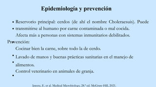 Epidemiología y prevención
Reservorio principal: cerdos (de ahí el nombre Choleraesuis). Puede
transmitirse al humano por carne contaminada o mal cocida.
Afecta más a personas con sistemas inmunitarios debilitados.
Prevención:
Cocinar bien la carne, sobre todo la de cerdo.
Lavado de manos y buenas prácticas sanitarias en el manejo de
alimentos.
Control veterinario en animales de granja.
Jawetz, E. et al. Medical Microbiology, 28.ª ed. McGraw-Hill, 2021.
 