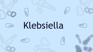 Klebsiella
 
