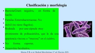 BacteriaGram negativa, en forma de
bacilo.
Familia: Enterobacteriaceae. No
móvil (no tiene flagelos).
Rodeada por una cápsula muy
prominente de polisacáridos, que le da una
apariencia viscosa o “mucosa” en el cultivo.
No forma esporas.
Anaerobia facultativa.
Murray, P. R. et al. Medical Microbiology, 9.ª ed. Elsevier, 2021.
Clasificación y morfología
 