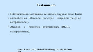 Tratamiento
Nitrofurantoína, fosfomicina, ceftriaxona (según el caso). Evitar
antibióticos en infecciones por cepas toxigénicas (riesgo de
complicaciones).
Atención a resistencia antimicrobiana (BLEE,
carbapenemasas).
Jawetz, E. et al. (2021). Medical Microbiology (28.ª ed.). McGraw-
 
