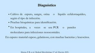 Diagnóstico
Cultivo de esputo, sangre, orina o líquido cefalorraquídeo,
según el tipo de infección.
Pruebas bioquímicas para identificación.
En hospitales, a veces se usa PCR o paneles
moleculares para infecciones nosocomiales.
En esputo: material espeso, gelatinoso, con muchas bacterias y leucocitos.
Murray, P. R. et al. Medical Microbiology, 9.ª ed. Elsevier, 2021.
 