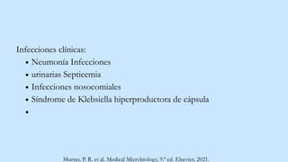 Infecciones clínicas:
Neumonía Infecciones
urinarias Septicemia
Infecciones nosocomiales
Síndrome de Klebsiella hiperproductora de cápsula
Murray, P. R. et al. Medical Microbiology, 9.ª ed. Elsevier, 2021.
 