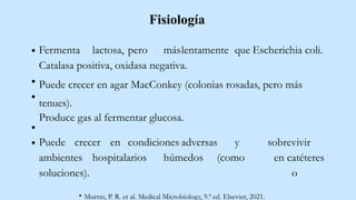 Fisiología
Fermenta lactosa, pero máslentamente que Escherichia coli.
Catalasa positiva, oxidasa negativa.
Puede crecer en agar MacConkey (colonias rosadas, pero más
tenues).
Produce gas al fermentar glucosa.
sobrevivir
en catéteres
o
Puede crecer en condiciones adversas y
ambientes hospitalarios húmedos (como
soluciones).
Murray, P. R. et al. Medical Microbiology, 9.ª ed. Elsevier, 2021.
 
