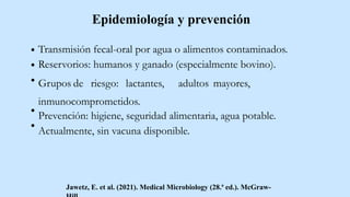 Epidemiología y prevención
Transmisión fecal-oral por agua o alimentos contaminados.
Reservorios: humanos y ganado (especialmente bovino).
Grupos de riesgo: lactantes, adultos mayores,
inmunocomprometidos.
Prevención: higiene, seguridad alimentaria, agua potable.
Actualmente, sin vacuna disponible.
Jawetz, E. et al. (2021). Medical Microbiology (28.ª ed.). McGraw-
 