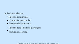 Infecciones clínicas:
Infecciones urinarias
Neumonía nosocomial
Bacteriemia/septicemia
Infecciones de heridas quirúrgicas
Meningitis neonatal
Murray, P. R. et al. Medical Microbiology, 9.ª ed. Elsevier, 2021.
 