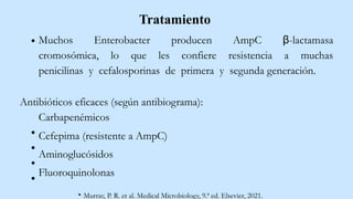 Tratamiento
Muchos Enterobacter producen AmpC β-lactamasa
cromosómica, lo que les confiere resistencia a muchas
penicilinas y cefalosporinas de primera y segunda generación.
Antibióticos eficaces (según antibiograma):
Carbapenémicos
Cefepima (resistente a AmpC)
Aminoglucósidos
Fluoroquinolonas
Murray, P. R. et al. Medical Microbiology, 9.ª ed. Elsevier, 2021.
 