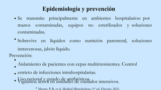 Epidemiología y prevención
Se transmite principalmente en ambientes hospitalarios: por
manos contaminadas, equipos no esterilizados y soluciones
contaminadas.
Sobrevive en líquidos como nutrición parenteral, soluciones
intravenosas, jabón líquido.
Prevención:
Aislamiento de pacientes con cepas multirresistentes. Control
estricto de infecciones intrahospitalarias.
Uso racional y guiado de antibióticos.
Vigilancia activa en unidades de cuidados intensivos.
Murray, P. R. et al. Medical Microbiology, 9.ª ed. Elsevier, 2021.
 