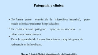 Patogenia y clínica
No forma parte común de la microbiota intestinal, pero
puede colonizar pacientes hospitalizados.
Es considerada un patógeno oportunista,asociado a
infecciones nosocomiales.
Tiene la capacidad de formar biopelículas y adquirir genes de
resistencia antimicrobiana.
Murray, P. R. et al. Medical Microbiology, 9.ª ed., Elsevier, 2021.
 
