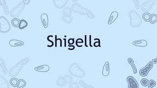 Shigella
 