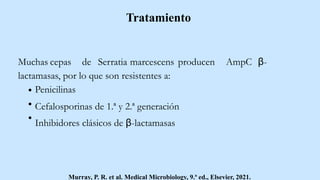 Tratamiento
Muchas cepas de Serratia marcescens producen AmpC β-
lactamasas, por lo que son resistentes a:
Penicilinas
Cefalosporinas de 1.ª y 2.ª generación
Inhibidores clásicos de β-lactamasas
Murray, P. R. et al. Medical Microbiology, 9.ª ed., Elsevier, 2021.
 