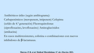 Antibióticos útiles (según antibiograma):
Carbapenémicos (meropenem, imipenem) Cefepima
(cefalo de 4.ª generación) Fluoroquinolonas
(ciprofloxacino, levofloxacino) Aminoglucósidos
(amikacina)
Murray, P. R. et al. Medical Microbiology, 9.ª ed., Elsevier, 2021.
En casos multirresistentes, colistina o combinaciones con nuevos
inhibidores de β-lactamasas.
 