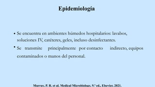 Epidemiología
Se encuentra en ambientes húmedos hospitalarios: lavabos,
soluciones IV, catéteres, geles, incluso desinfectantes.
Se transmite principalmente por contacto indirecto, equipos
contaminados o manos del personal.
Murray, P. R. et al. Medical Microbiology, 9.ª ed., Elsevier, 2021.
 