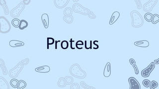 Proteus
 