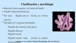 Clasificación y morfología
Bacteria Gram negativa, en forma de bacilo.
Familia: Enterobacteriaceae.
No tiene flagelos (no es móvil), no forma
esporas.
Dividida en 4 especies principales:
Shigella dysenteriae (más grave)
Shigella flexneri
Shigella boydii
Shigella sonnei (más común en países
desarrollados)
Jawetz, E. et al. (2021). Medical Microbiology. 28.ª ed. McGraw-
 