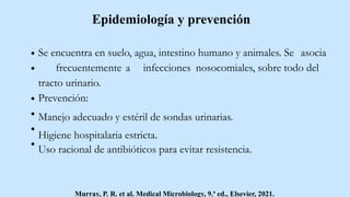 Epidemiología y prevención
Se encuentra en suelo, agua, intestino humano y animales. Se asocia
frecuentemente a infecciones nosocomiales, sobre todo del
tracto urinario.
Prevención:
Manejo adecuado y estéril de sondas urinarias.
Higiene hospitalaria estricta.
Uso racional de antibióticos para evitar resistencia.
Murray, P. R. et al. Medical Microbiology, 9.ª ed., Elsevier, 2021.
 