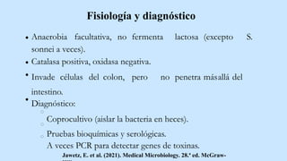 Anaerobia facultativa, no fermenta lactosa (excepto S.
sonnei a veces).
Catalasa positiva, oxidasa negativa.
Invade células del colon, pero no penetra másallá del
intestino.
Diagnóstico:
Coprocultivo (aislar la bacteria en heces).
Pruebas bioquímicas y serológicas.
A veces PCR para detectar genes de toxinas.
Jawetz, E. et al. (2021). Medical Microbiology. 28.ª ed. McGraw-
Fisiología y diagnóstico
 
