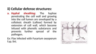 10. DEFENSE MECHANISMS IN PLANTS.ppt pathology | PPTX