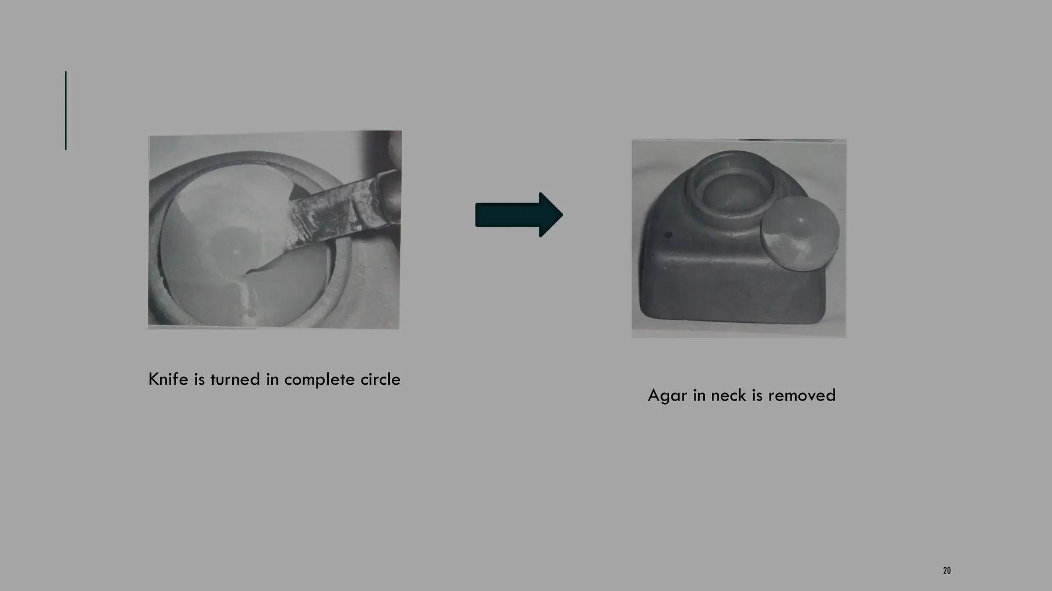 20
Knife is turned in complete circle
Agar in neck is removed
 