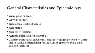 General Characteristics and Epidemiology
• Gram-positive cocci
• Grow in clusters
• Resemble a cluster of grapes
• Non-motile
• Non-spore-forming
• Aerobic and facultative anaerobic
• Catalase-positive:An enzyme that cleaves hydrogen peroxide → water
and oxygen, a distinguishing feature from streptococci (which are
catalase-negative)
 