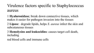 Virulence factors specific to Staphylococcus
aureus
1 Hyaluronidase; break down connective tissues, which
makes it easier for pathogen invasion into the tissues
2 Lipase: degrade lipids, helps S. aureus infect the skin and
subcutaneous tissues
3 Hemolysins and leukocidins: causes target cell death,
including
red blood cells and immune cells
 