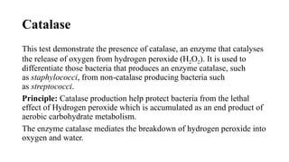 Catalase
This test demonstrate the presence of catalase, an enzyme that catalyses
the release of oxygen from hydrogen peroxide (H2O2). It is used to
differentiate those bacteria that produces an enzyme catalase, such
as staphylococci, from non-catalase producing bacteria such
as streptococci.
Principle: Catalase production help protect bacteria from the lethal
effect of Hydrogen peroxide which is accumulated as an end product of
aerobic carbohydrate metabolism.
The enzyme catalase mediates the breakdown of hydrogen peroxide into
oxygen and water.
 