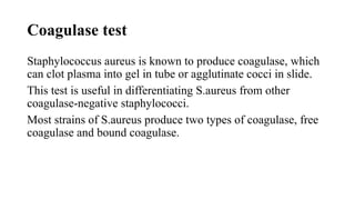 Coagulase test
Staphylococcus aureus is known to produce coagulase, which
can clot plasma into gel in tube or agglutinate cocci in slide.
This test is useful in differentiating S.aureus from other
coagulase-negative staphylococci.
Most strains of S.aureus produce two types of coagulase, free
coagulase and bound coagulase.
 