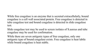 While free coagulase is an enzyme that is secreted extracellularly, bound
coagulase is a cell wall associated protein. Free coagulase is detected in
tube coagulase test and bound coagulase is detected in slide coagulase
test.
Slide coagulase test may be used to screen isolates of S.aureus and tube
coagulase may be used for confirmation.
While there are seven antigenic types of free coagulase, only one
antigenic type of bound coagulase exists. Free coagulase is heat labile
while bound coagulase is heat stable.
 