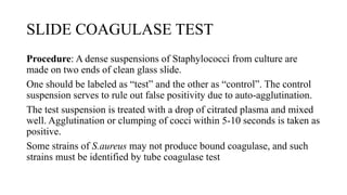 SLIDE COAGULASE TEST
Procedure: A dense suspensions of Staphylococci from culture are
made on two ends of clean glass slide.
One should be labeled as “test” and the other as “control”. The control
suspension serves to rule out false positivity due to auto-agglutination.
The test suspension is treated with a drop of citrated plasma and mixed
well. Agglutination or clumping of cocci within 5-10 seconds is taken as
positive.
Some strains of S.aureus may not produce bound coagulase, and such
strains must be identified by tube coagulase test
 