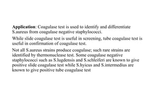 Application: Coagulase test is used to identify and differentiate
S.aureus from coagulase negative staphylococci.
While slide coagulase test is useful in screening, tube coagulase test is
useful in confirmation of coagulase test.
Not all S.aureus strains produce coagulase; such rare strains are
identified by thermonuclease test. Some coagulase negative
staphylococci such as S.lugdensis and S.schleiferi are known to give
positive slide coagulase test while S.hyicus and S.intermedius are
known to give positive tube coagulase test
 