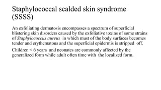 Staphylococcal scalded skin syndrome
(SSSS)
An exfoliating dermatosis encompasses a spectrum of superficial
blistering skin disorders caused by the exfoliative toxins of some strains
of Staphylococcus aureus in which must of the body surfaces becomes
tender and erythematous and the superficial epidermis is stripped off.
Children < 6 years and neonates are commonly affected by the
generalized form while adult often time with the localized form.
 