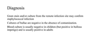Diagnosis
Gram stain and/or culture from the remote infection site may confirm
staphylococcal infection
Cultures of bullae are negative in the absence of contamination.
Blood culture is usually negative in children (but positive in bullous
impetigo) and is usually positive in adults
 