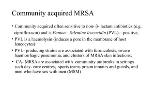 Community acquired MRSA
• Community acquired often sensitive to non- β- lactam antibiotics (e.g.
ciprofloxacin) and is Panton– Valentine leucocidin (PVL)—positive,
• PVL is a haemolysin (induces a pore in the membrane of host
leucocytes)
• PVL- producing strains are associated with furunculosis, severe
haemorrhagic pneumonia, and clusters of MRSA skin infections;
• CA- MRSA are associated with community outbreaks in settings
such day- care centres, sports teams prison inmates and guards, and
men who have sex with men (MSM)
 