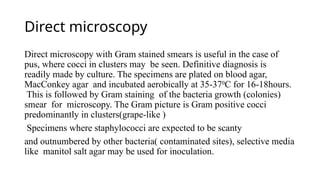 Direct microscopy
Direct microscopy with Gram stained smears is useful in the case of
pus, where cocci in clusters may be seen. Definitive diagnosis is
readily made by culture. The specimens are plated on blood agar,
MacConkey agar and incubated aerobically at 35-370
C for 16-18hours.
This is followed by Gram staining of the bacteria growth (colonies)
smear for microscopy. The Gram picture is Gram positive cocci
predominantly in clusters(grape-like )
Specimens where staphylococci are expected to be scanty
and outnumbered by other bacteria( contaminated sites), selective media
like manitol salt agar may be used for inoculation.
 