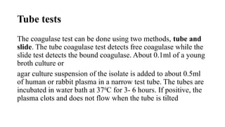 Tube tests
The coagulase test can be done using two methods, tube and
slide. The tube coagulase test detects free coagulase while the
slide test detects the bound coagulase. About 0.1ml of a young
broth culture or
agar culture suspension of the isolate is added to about 0.5ml
of human or rabbit plasma in a narrow test tube. The tubes are
incubated in water bath at 370
C for 3- 6 hours. If positive, the
plasma clots and does not flow when the tube is tilted
 