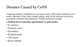 Diseases Caused by CoNS
Coagulase-negative staphylococci can cause many of the same conditions as S.
aureus. Because of the weak virulent nature, most of the infection are device
associated or breach skin protection. Notable infections include:
1 Medical device infections (particularly S. epidermidis)
• IV catheters
• Prosthetic valves
• Pacemakers
• Prosthetic joints
• CNS shunts
• Breast implants
 