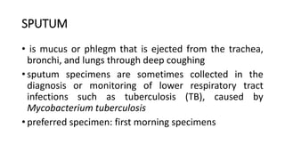 Comprehensive Guide to Nonblood Specimens and Diagnostic Tests | PDF
