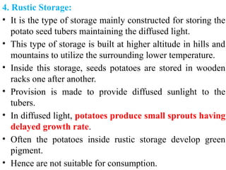 4. Rustic Storage:
• It is the type of storage mainly constructed for storing the
potato seed tubers maintaining the diffused light.
• This type of storage is built at higher altitude in hills and
mountains to utilize the surrounding lower temperature.
• Inside this storage, seeds potatoes are stored in wooden
racks one after another.
• Provision is made to provide diffused sunlight to the
tubers.
• In diffused light, potatoes produce small sprouts having
delayed growth rate.
• Often the potatoes inside rustic storage develop green
pigment.
• Hence are not suitable for consumption.
 