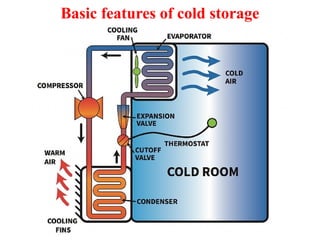 Basic features of cold storage
 
