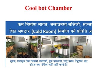 Cool bot Chamber
 
