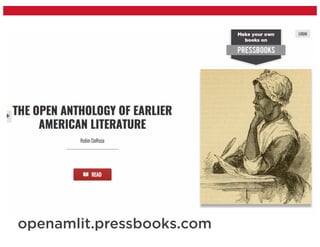 openamlit.pressbooks.com
 