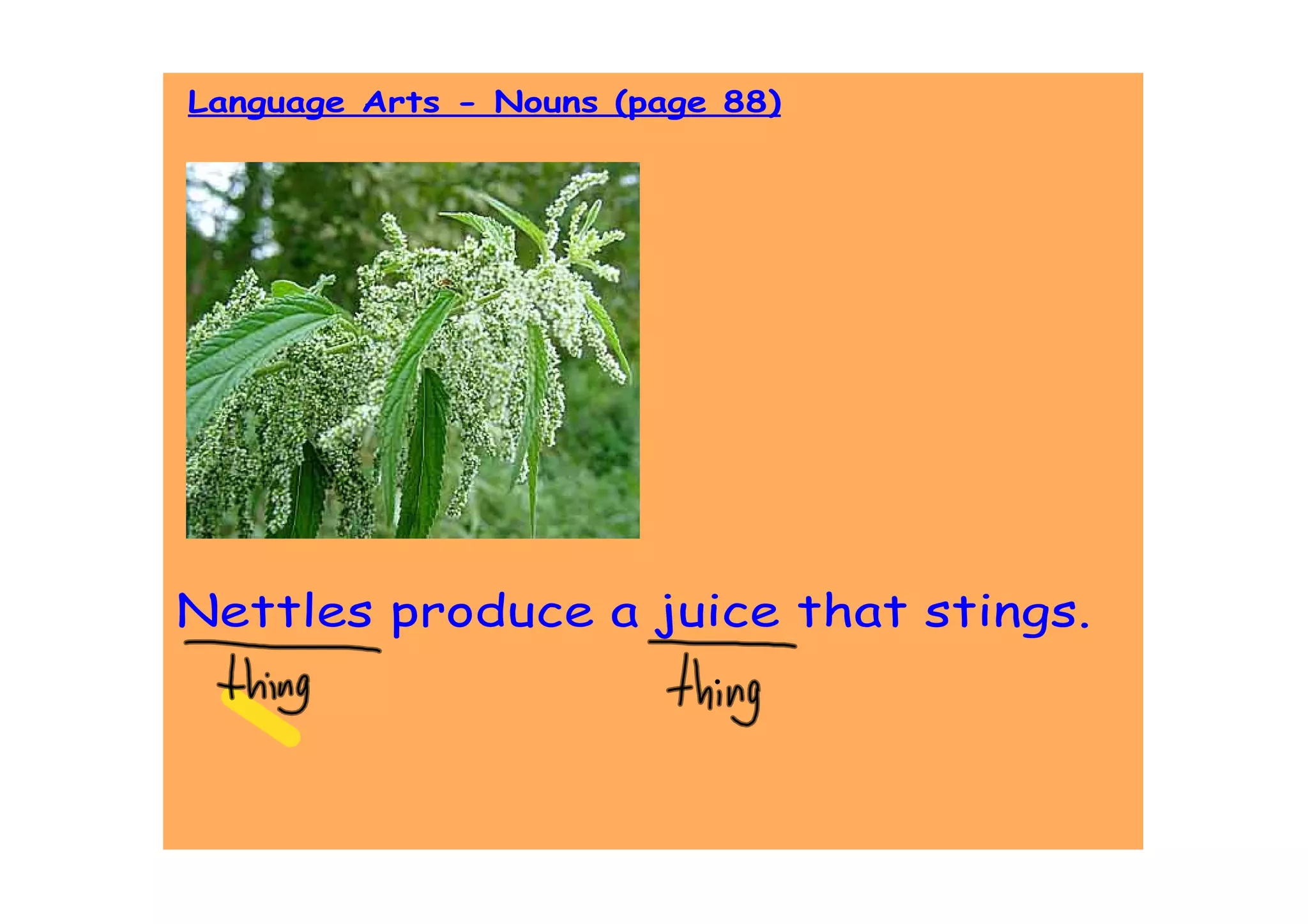 Language Arts - Nouns (page 88)




Nettles produce a juice that stings.
 
