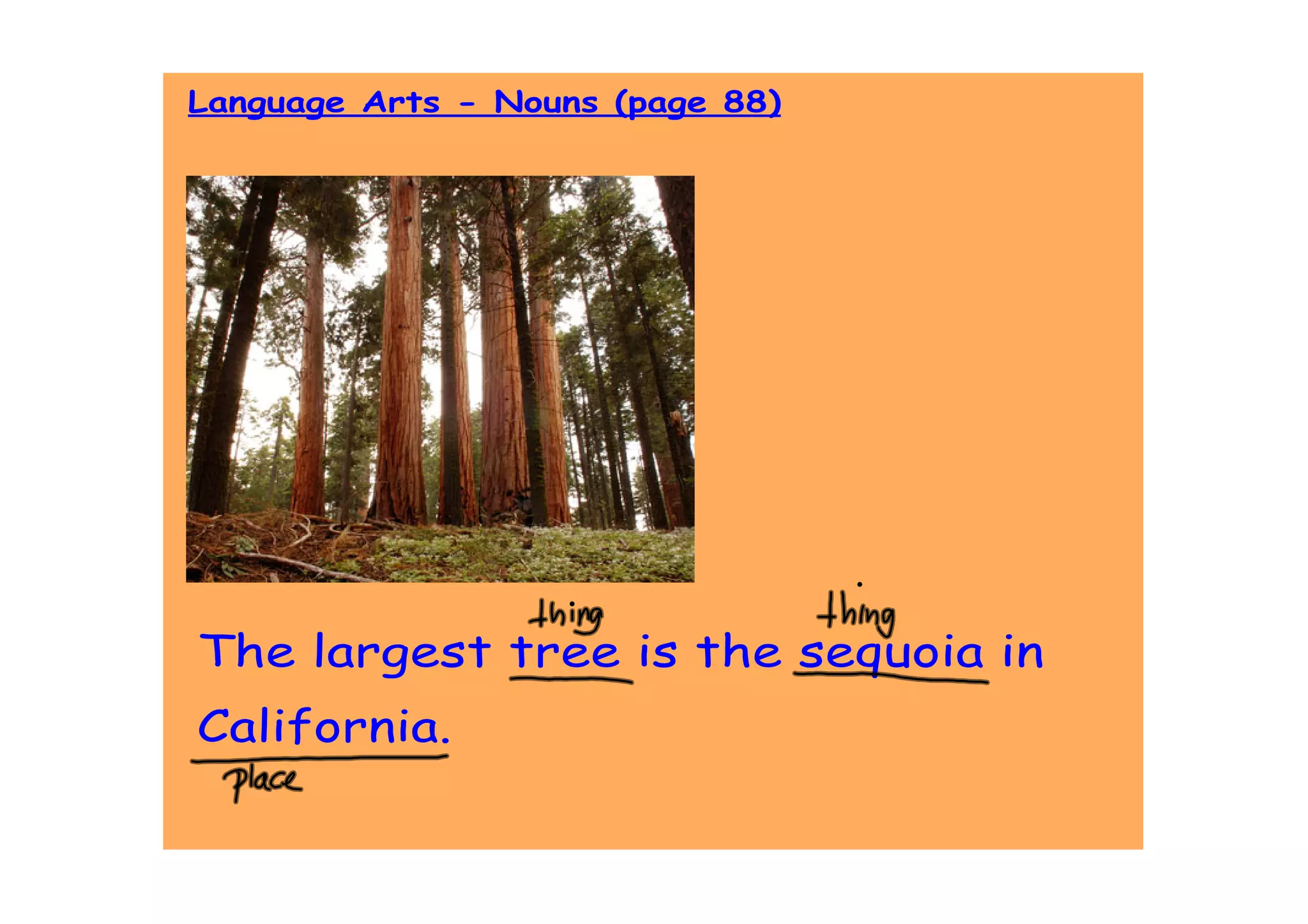 Language Arts - Nouns (page 88)




The largest tree is the sequoia in
California.
 