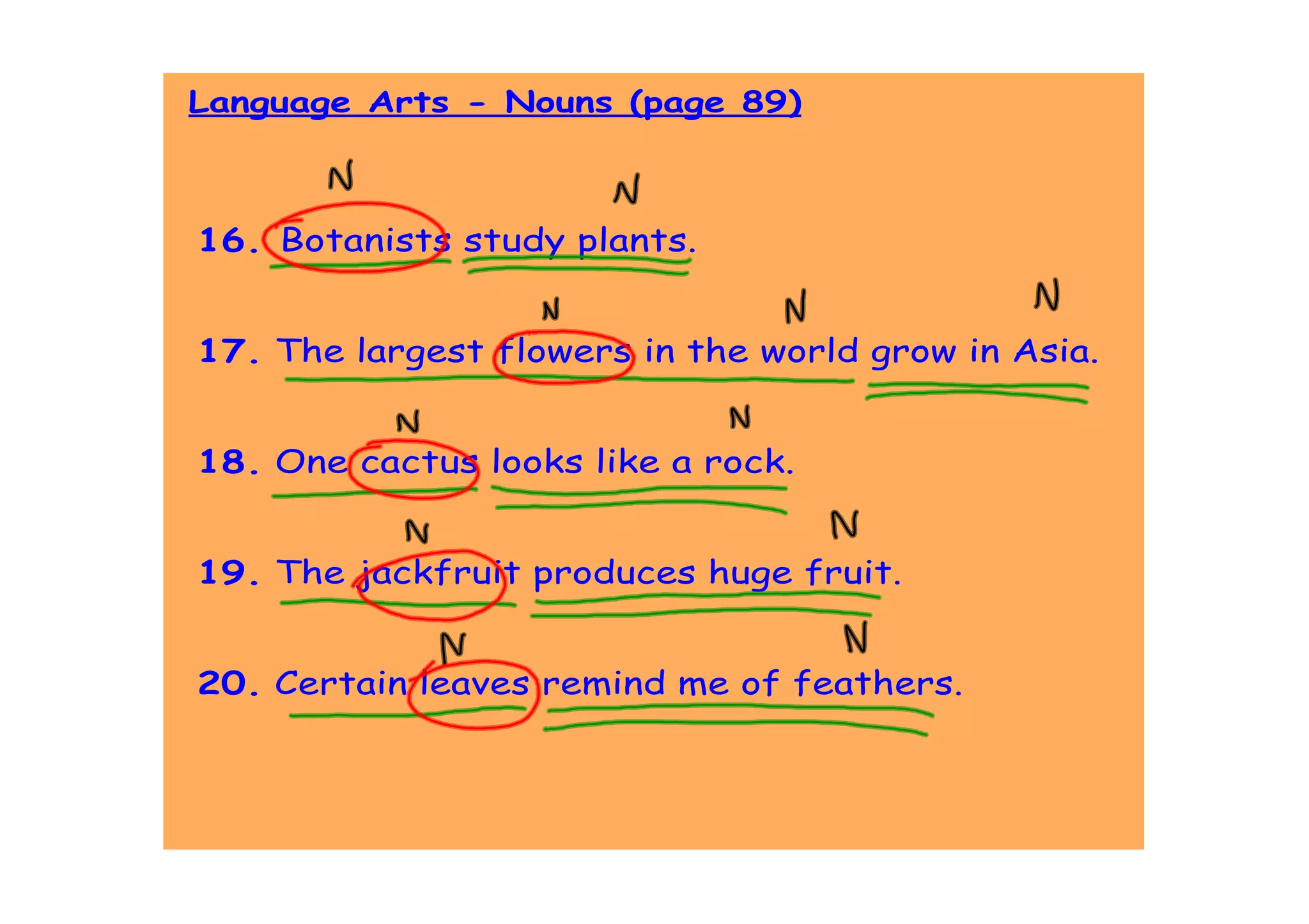 Language Arts - Nouns (page 89)



16. Botanists study plants.


17. The largest flowers in the world grow in Asia.


18. One cactus looks like a rock.


19. The jackfruit produces huge fruit.


20. Certain leaves remind me of feathers.
 