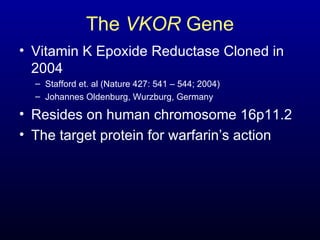 The  VKOR  Gene Vitamin K Epoxide Reductase Cloned in 2004 Stafford et. al (Nature 427: 541 – 544; 2004)  Johannes Oldenburg, Wurzburg, Germany Resides on human chromosome 16p11.2  The target protein for warfarin’s action 